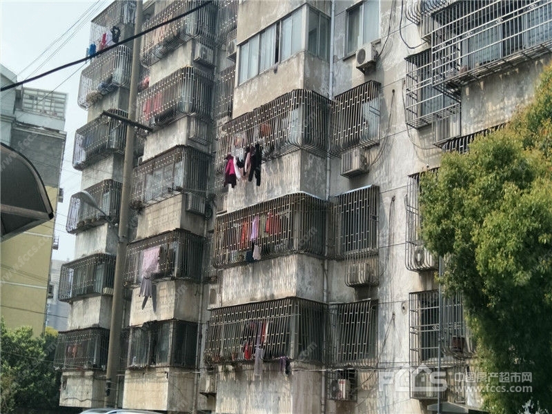 金三角新村